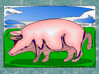 The Pink Pig!
