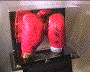 Boxing Gloves